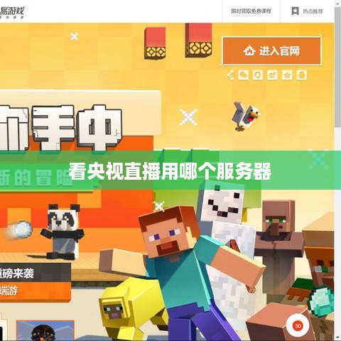 看央视直播用哪个服务器