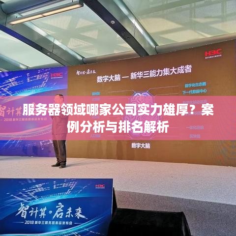 服务器领域哪家公司实力雄厚？案例分析与排名解析