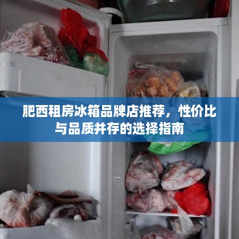 肥西租房冰箱品牌店推荐，性价比与品质并存的选择指南