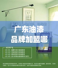 广东油漆品牌加盟哪家好？全方位解析与案例分享