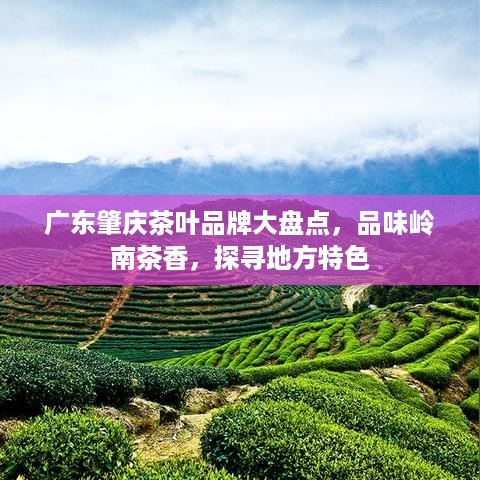 广东肇庆茶叶品牌大盘点，品味岭南茶香，探寻地方特色