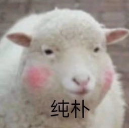 使用羊小咩便荔卡提现攻略