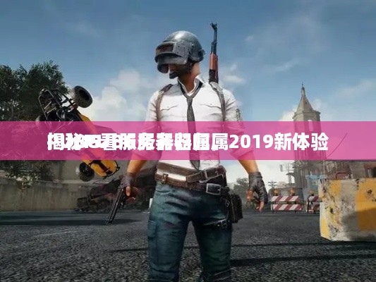 PUBG看服务器归属，2019新体验
揭秘PUBG服务器归属
