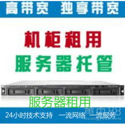 电子服务器托管推荐，选择最适合您的平台