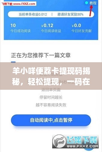 羊小咩便荔卡提现码揭秘，轻松提现，一码在手