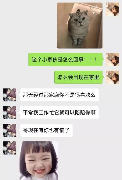 聊天记录查询，谁可确保100%成功？