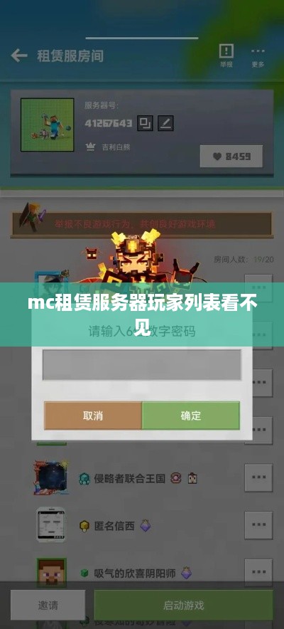 mc租赁服务器玩家列表看不见