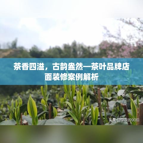 茶香四溢，古韵盎然—茶叶品牌店面装修案例解析