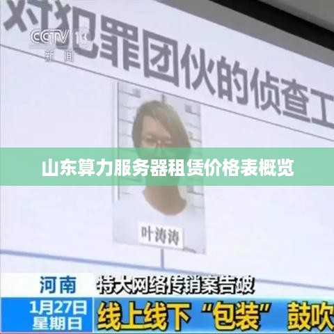 山东算力服务器租赁价格表概览