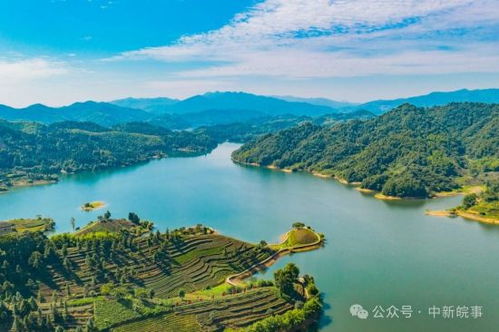 江西茶叶名品盘点，品味赣鄱大地上的茶香四溢