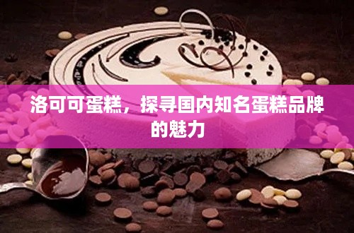 洛可可蛋糕，探寻国内知名蛋糕品牌的魅力