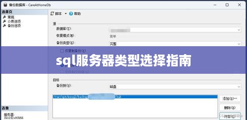 sql服务器类型选择指南