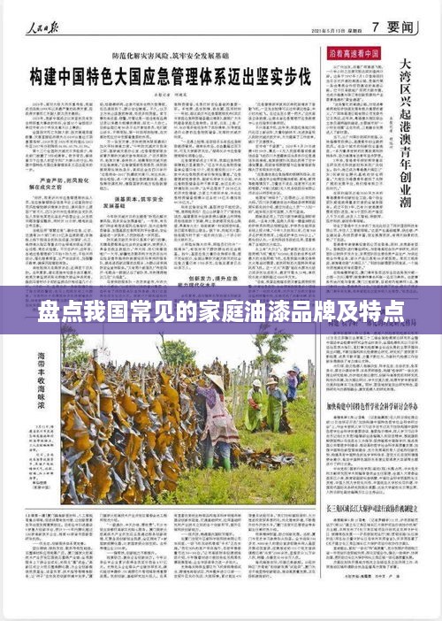 盘点我国常见的家庭油漆品牌及特点