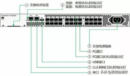 上海网络服务器租赁哪家强？一文带你全面了解