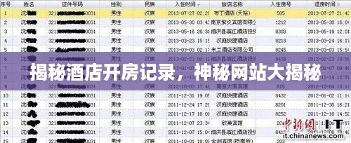 揭秘酒店开房记录，神秘网站大揭秘