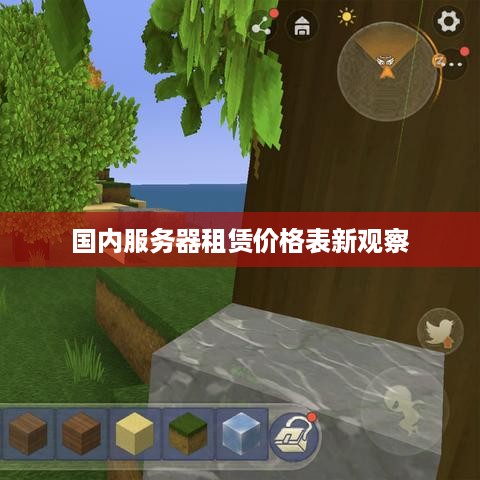 国内服务器租赁价格表新观察