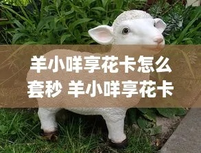中牟羊小咩享花卡激活攻略—各套产品详情及案例解析