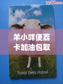 羊小咩便荔卡加油包取现方法详解