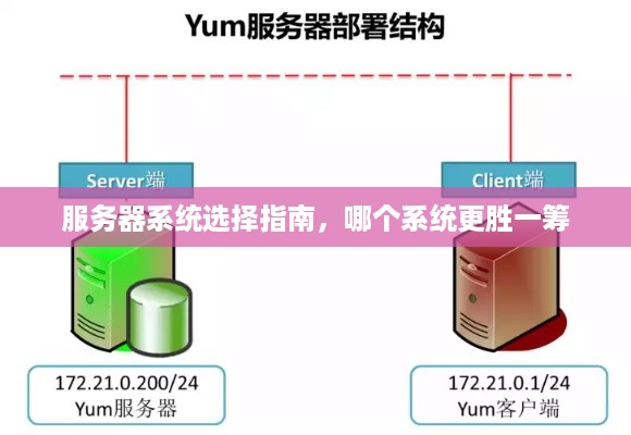 服务器系统选择指南，哪个系统更胜一筹