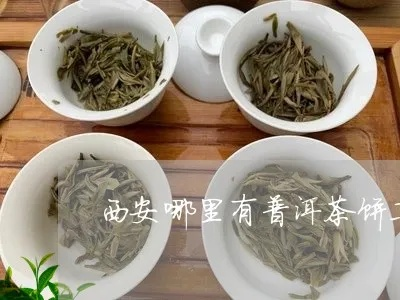 乾县普洱茶叶，千年古县的新茶香，探寻陕西普洱茶的魅力