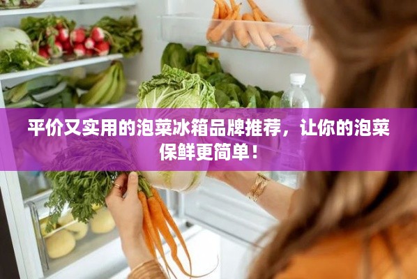 平价又实用的泡菜冰箱品牌推荐，让你的泡菜保鲜更简单！