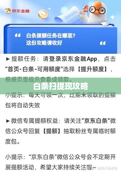 白条扫提现攻略
