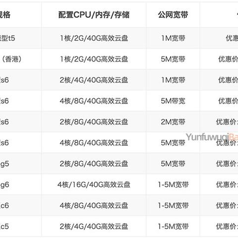 租赁服务器十个月，如何高效管理以优化成本和性能