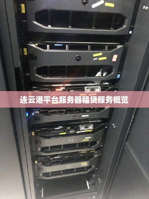 连云港平台服务器租赁服务概览