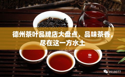 德州茶叶品牌店大盘点，品味茶香，尽在这一方水土