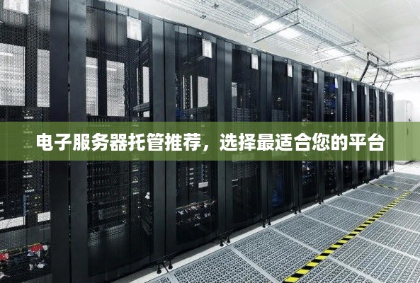 电子服务器托管推荐，选择最适合您的平台