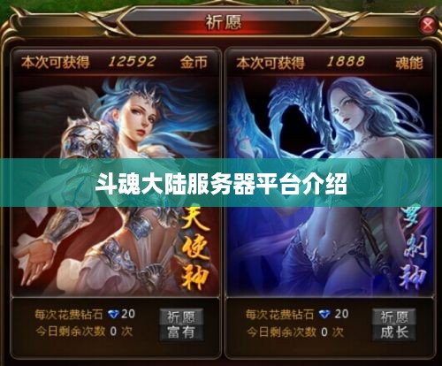 斗魂大陆服务器平台介绍