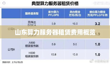 山东算力服务器租赁费用概览