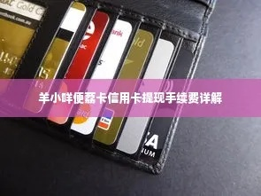 羊小咩便荔卡额度分期券提现攻略