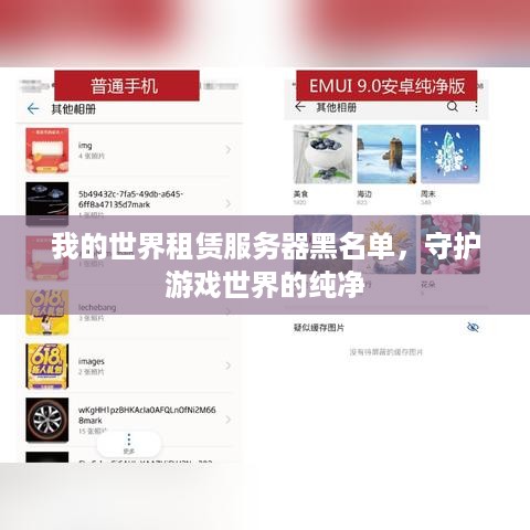 我的世界租赁服务器黑名单，守护游戏世界的纯净