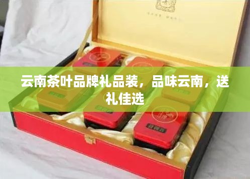 云南茶叶品牌礼品装，品味云南，送礼佳选