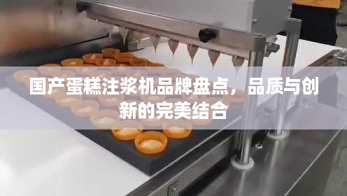 国产蛋糕注浆机品牌盘点，品质与创新的完美结合