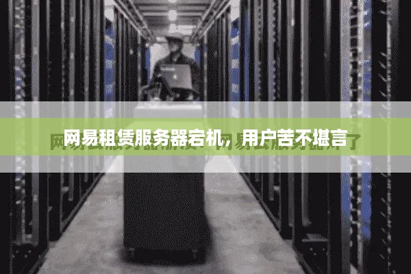 网易租赁服务器宕机，用户苦不堪言