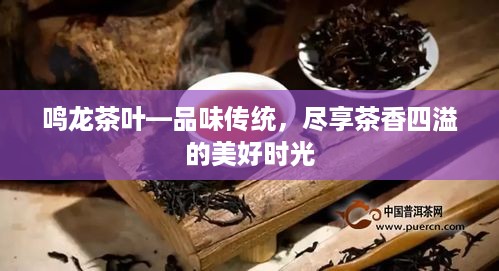 鸣龙茶叶—品味传统，尽享茶香四溢的美好时光