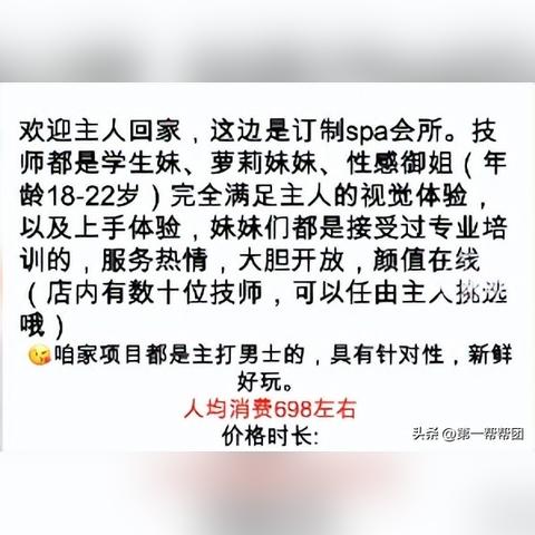 网络服务器租赁业务，客服的全貌与实践指南