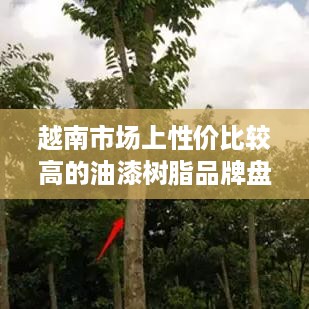 越南市场上性价比较高的油漆树脂品牌盘点