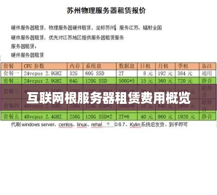 互联网根服务器租赁费用概览