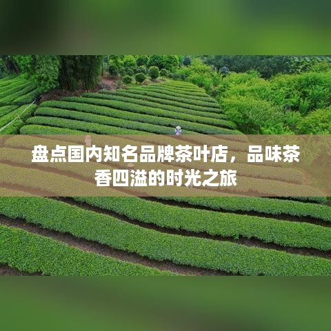 盘点国内知名品牌茶叶店，品味茶香四溢的时光之旅