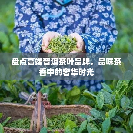盘点高端普洱茶叶品牌，品味茶香中的奢华时光