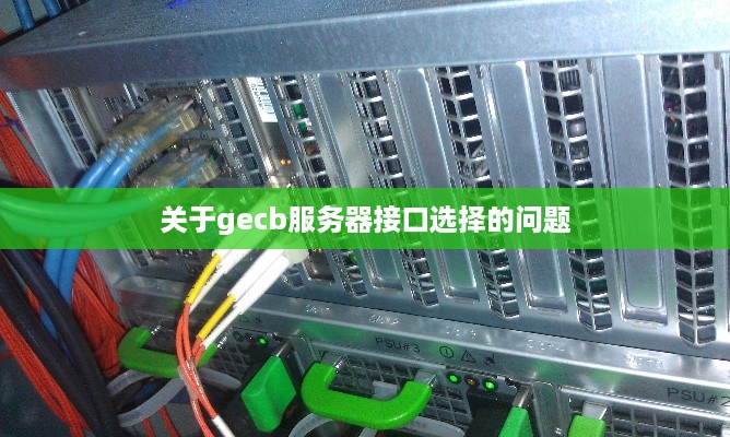 关于gecb服务器接口选择的问题