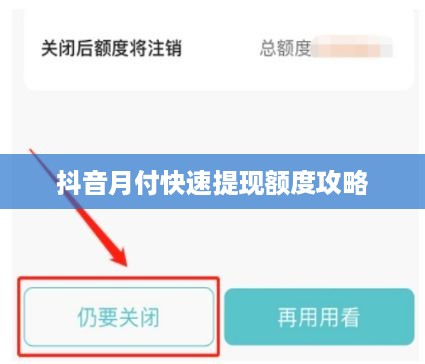 抖音月付快速提现额度攻略