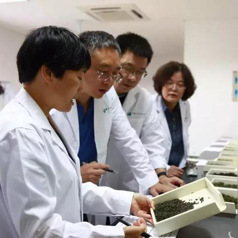 茶叶品牌经营攻略，如何打造一杯好茶的传奇