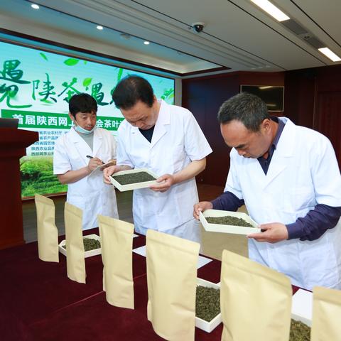 网上选茶叶，这些品牌值得信赖！
