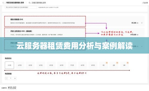 云服务器租赁费用分析与案例解读