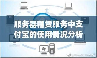 服务器租赁服务中支付宝的使用情况分析