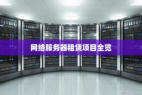 网络服务器租赁项目全览